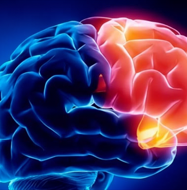 image 2025 10 22T165303.119